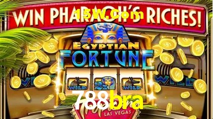 Ofertas Exclusivas 788bra